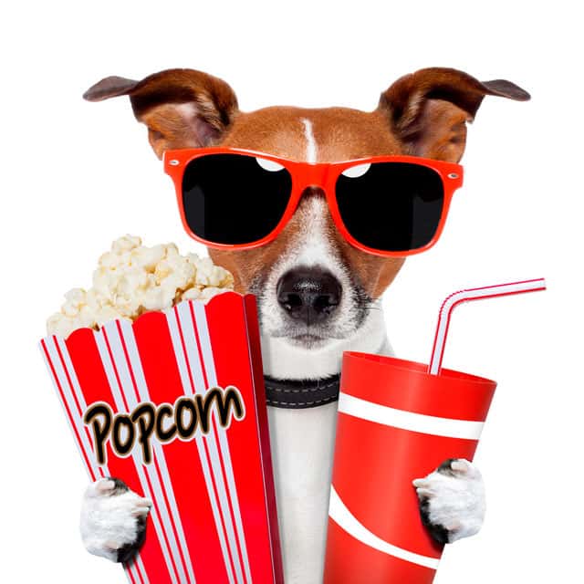 Popcorns and videos