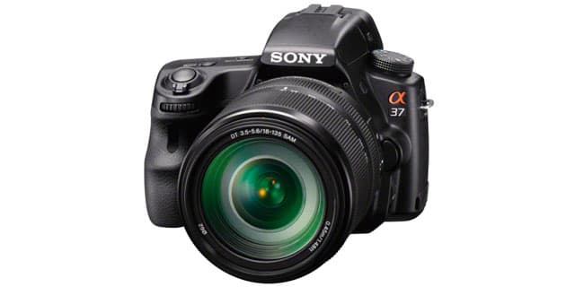 Sony DSLR cameras