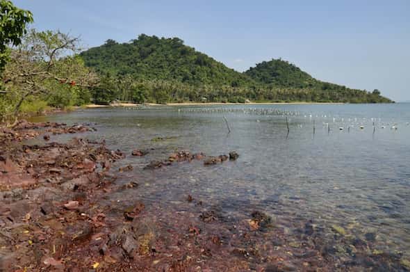 Beautiful views of Rabbit Island