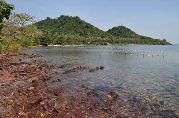 Beautiful views of Rabbit Island